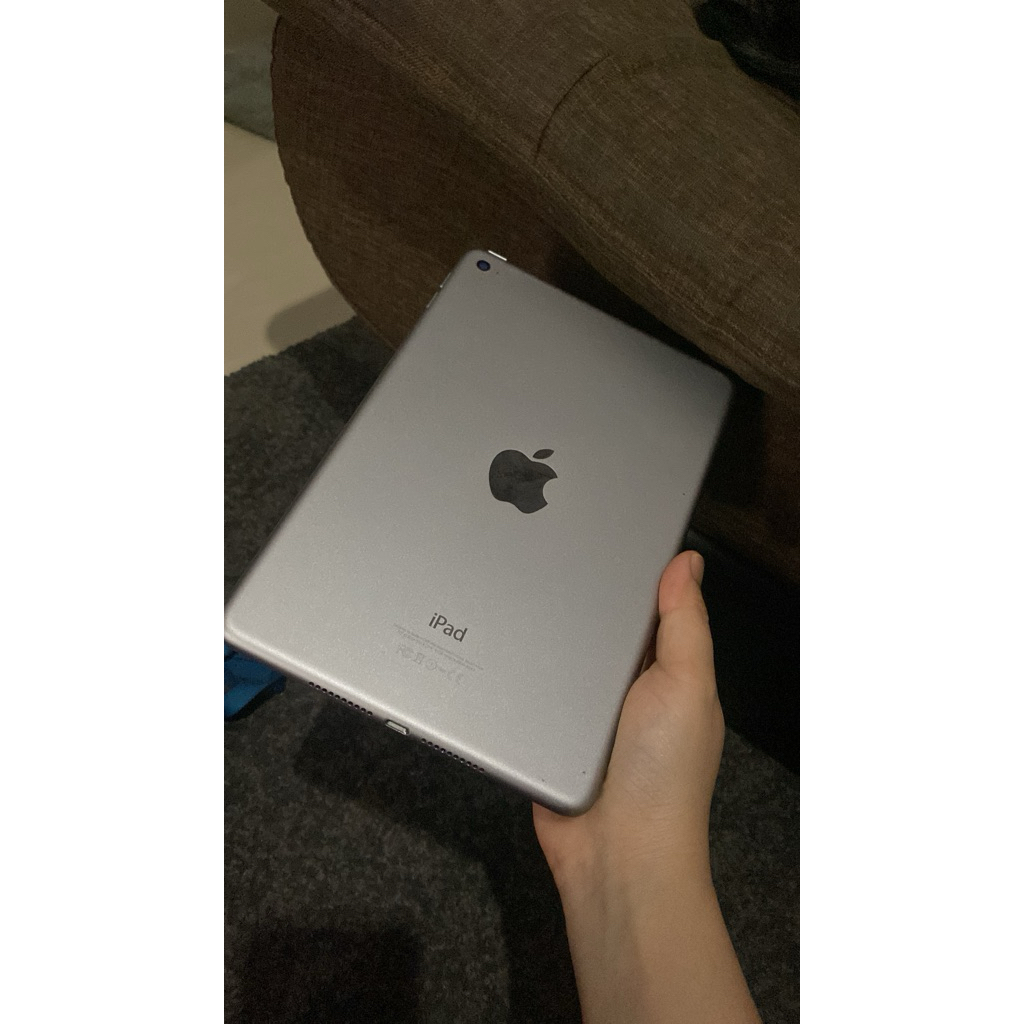 Ipad Mini 4 (MINUS)