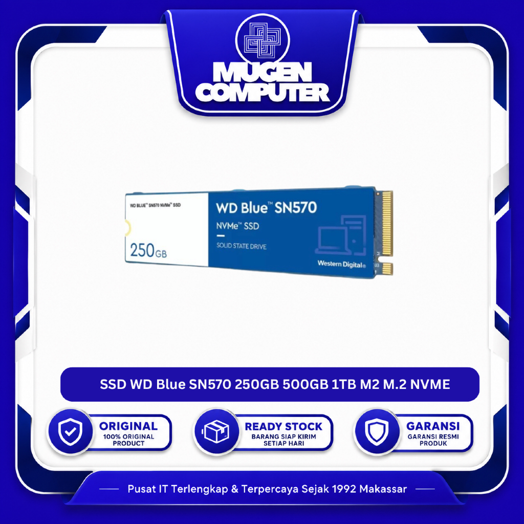 SSD WD Blue SN570 250GB 500GB 1TB M2 M.2 NVME