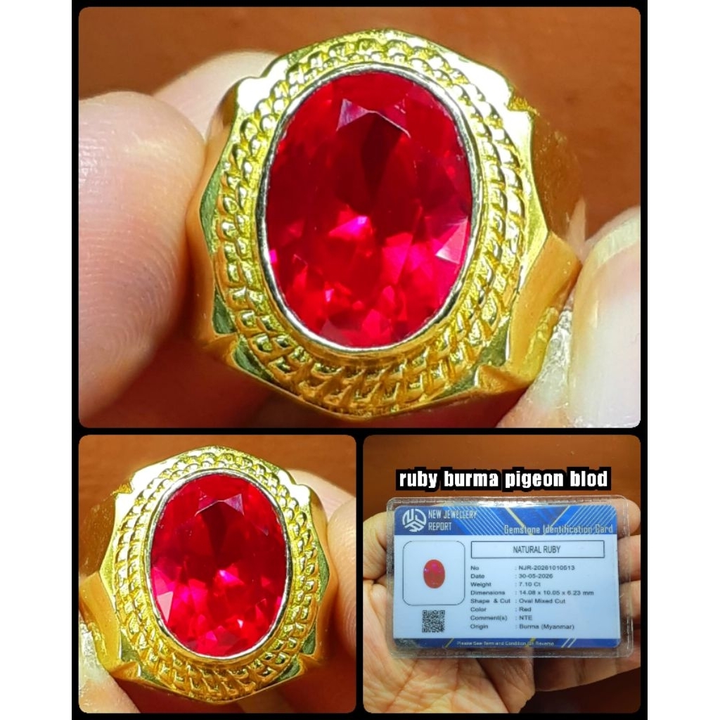 ruby pigeon burma myanmar super HQ + sertifikat lab