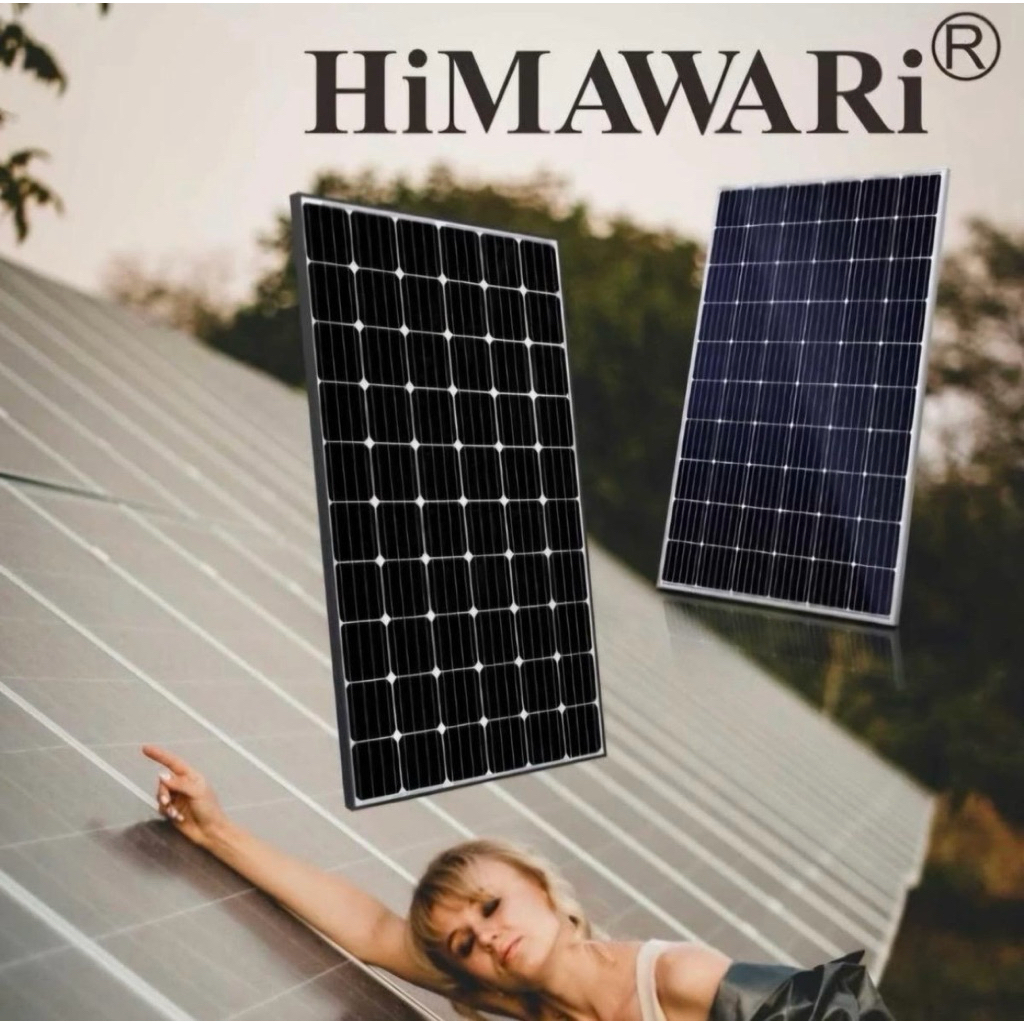 Solar Panel Tenaga Surya 50 WP Himawari