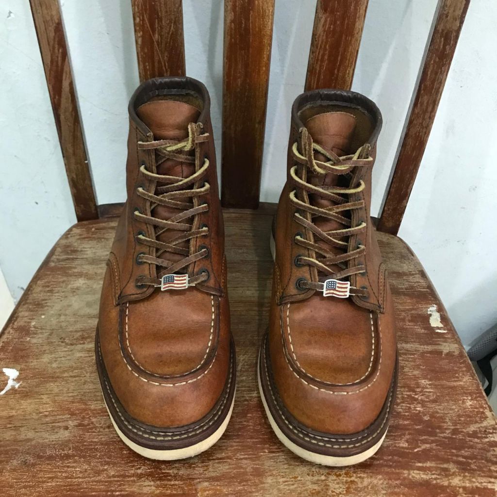 Redwing 1907