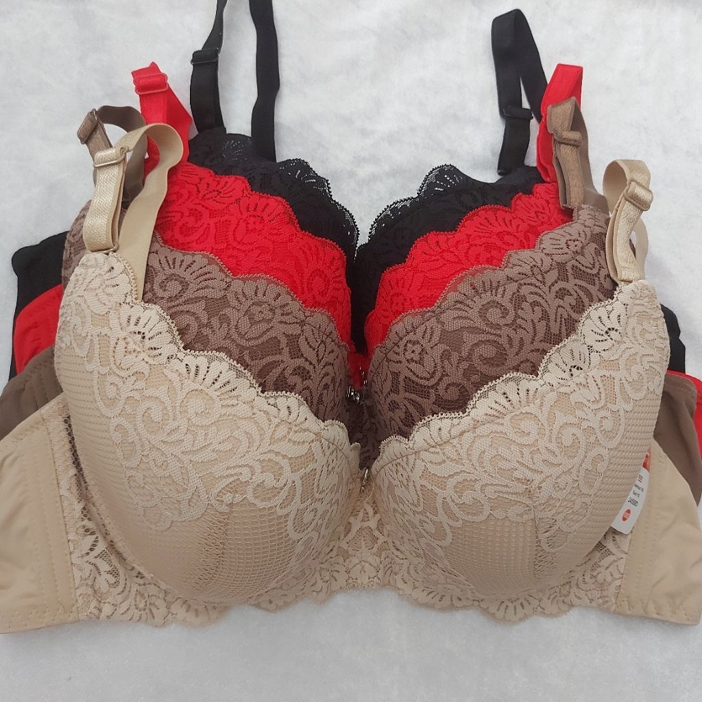 Bra bh cup besar Elena 24558 busa kawat 38D-44D
