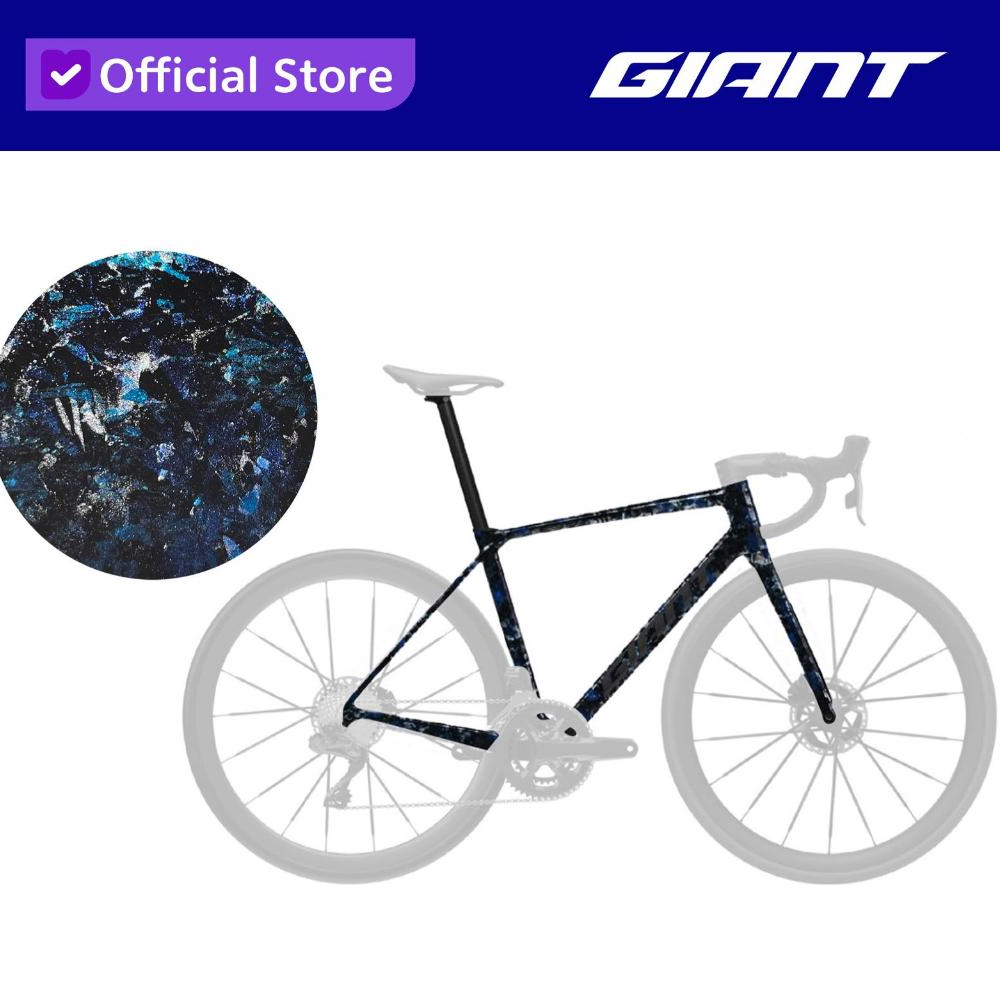 FRAMESET GIANT FRAMESET TCR ADVANCED PRO GEN 10 NEW BNIB ORIGINAL 100%