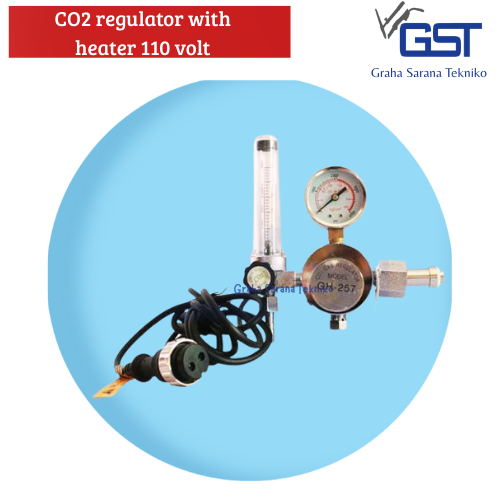CO2 Regulator with Heater 110 Volt