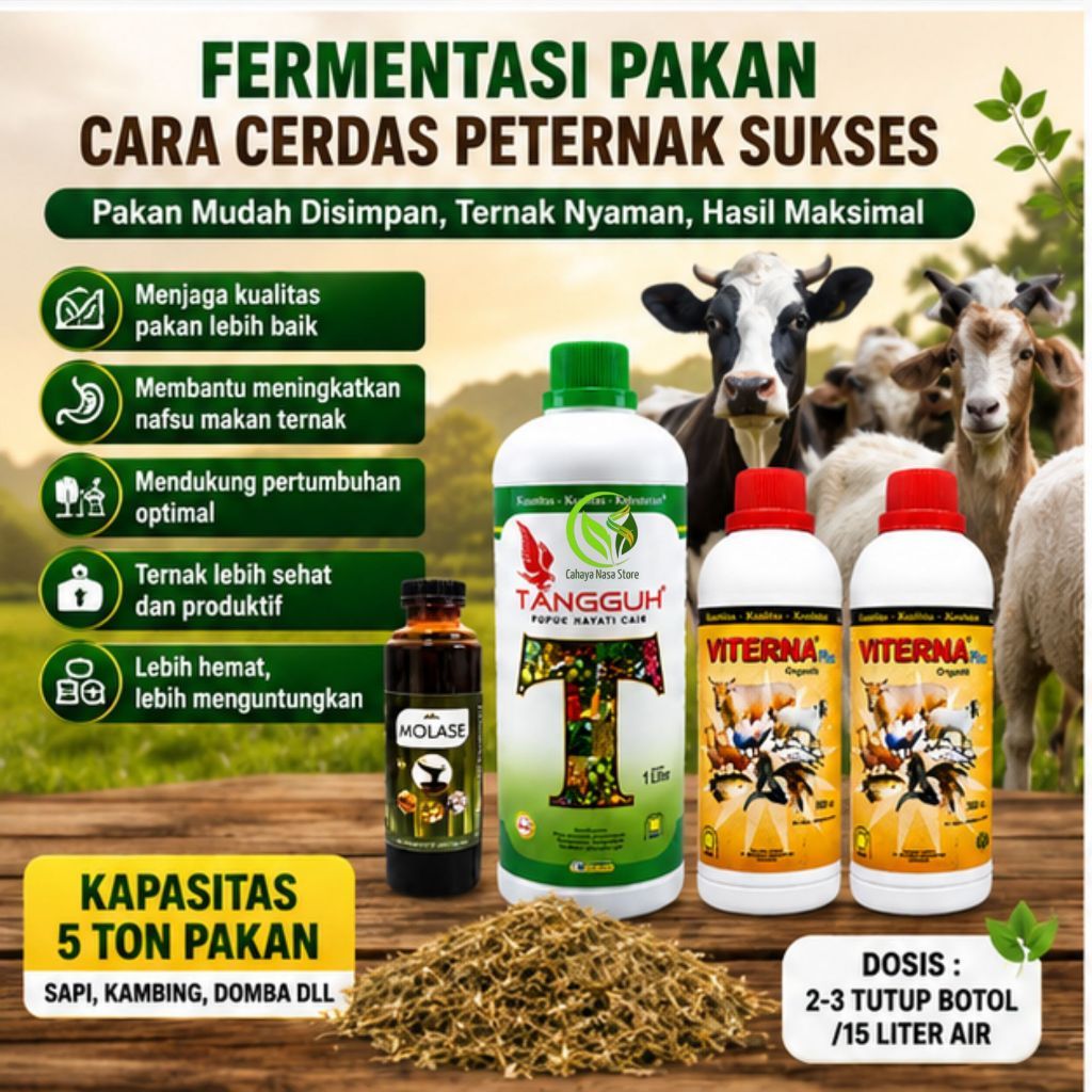 Fermentasi Pakan Tangguh Viterna Molase untuk Sapi Kambing Domba Kapasitas 5 Ton