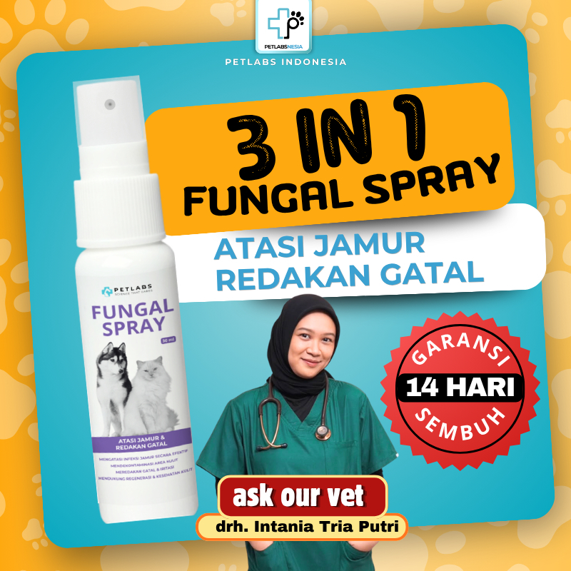 Obat Jamur Gatal Ringworm Redakan Gatal Cepat Sembuh Pada Kucing dan Anjing PETLABSNESIA Petlabs