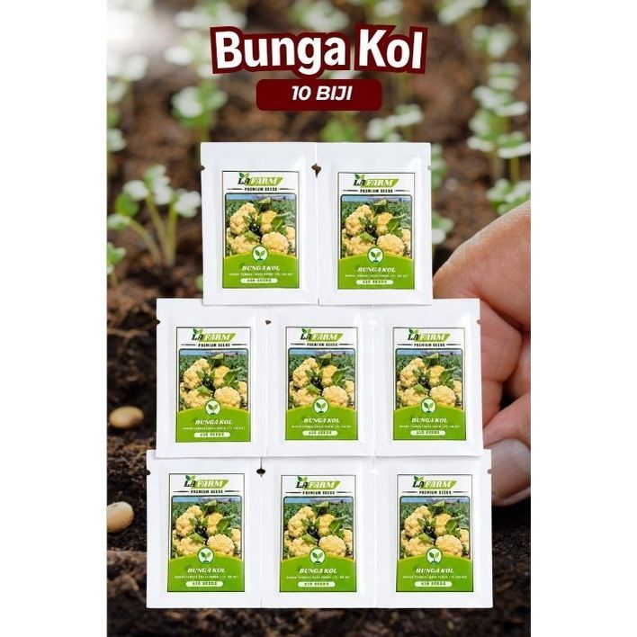 Benih Bunga Kol Benih Bunga Kol Berkualitas Tinggi 10 Biji