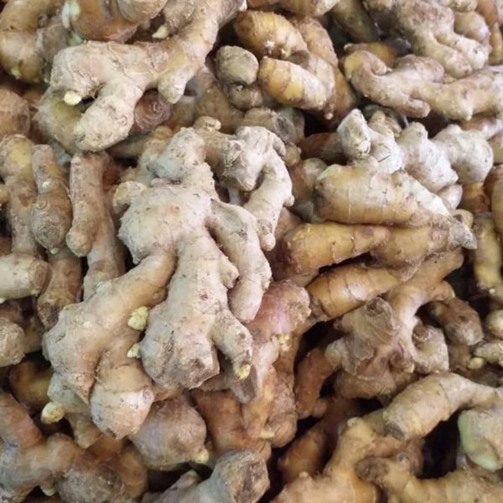 Jahe emprit/ Paris segar 1kg