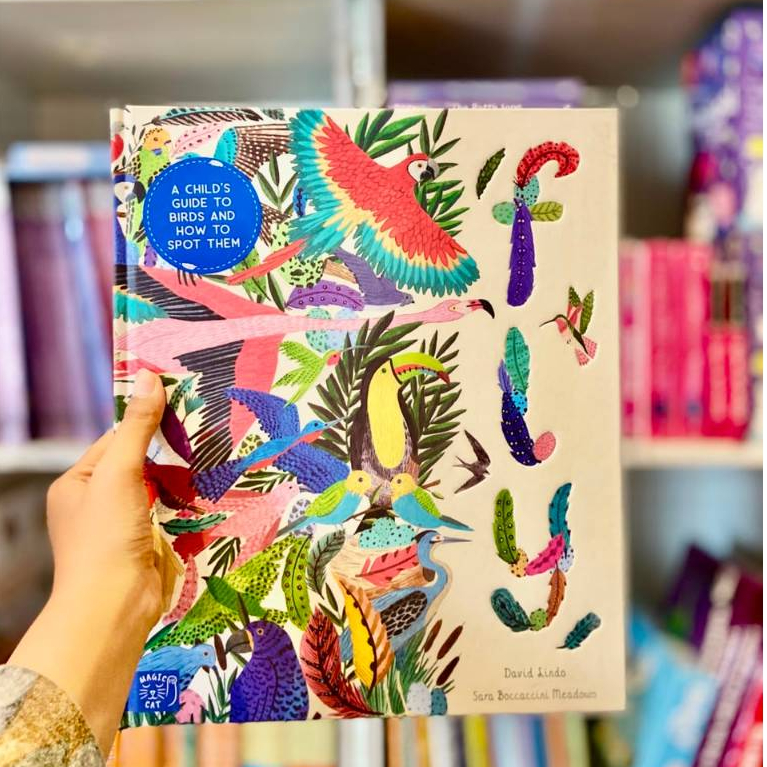 Fly: A Child's Guide To Birds and How To Spot Them