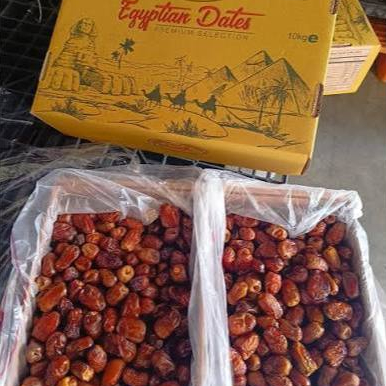 Kurma mesir AL-AMAL/GOLDEN FALLY/REHAB isi 10kg