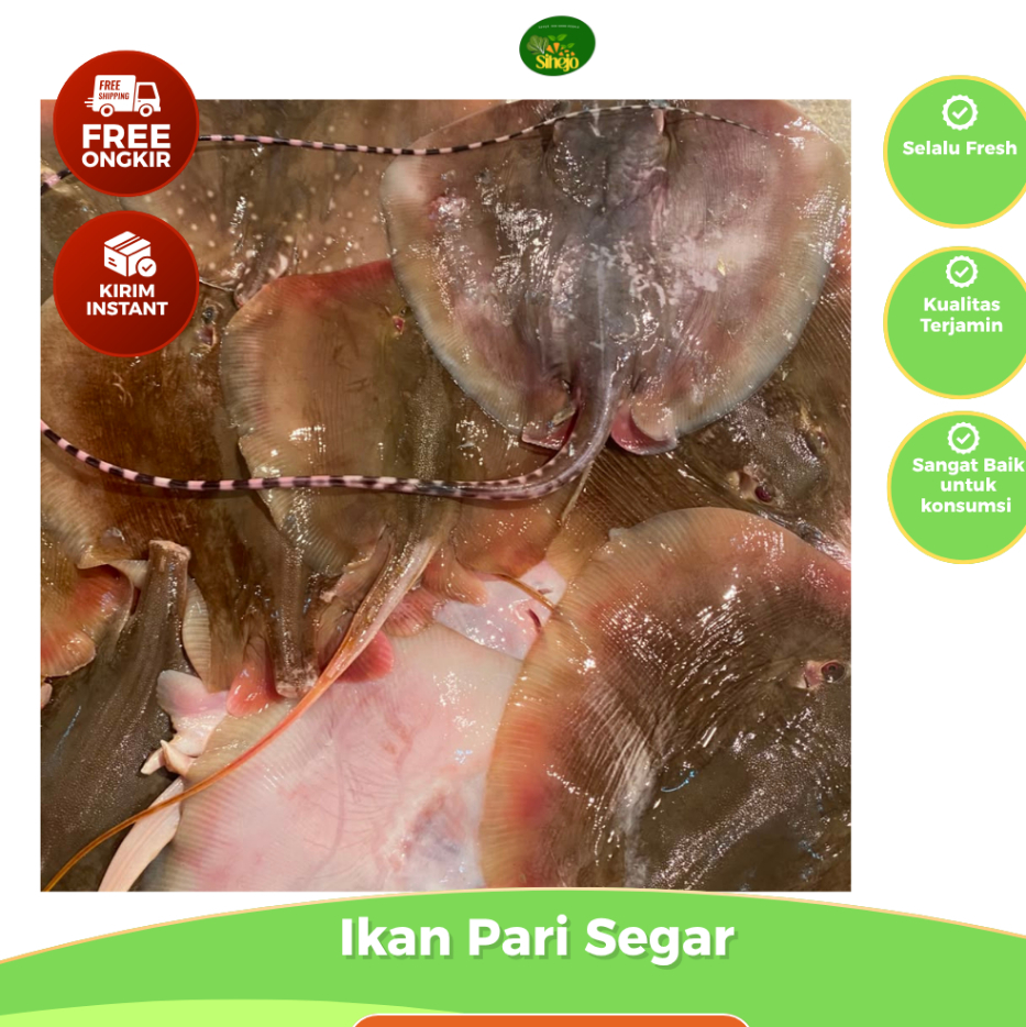 Ikan Pari Segar Bandung