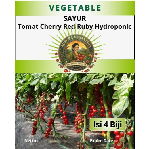 Bibit Unggul Indonesia Tomat Cherry Red Ruby Hydroponic | Biji Benih Tomat Cherry Red Ruby Hydroponi