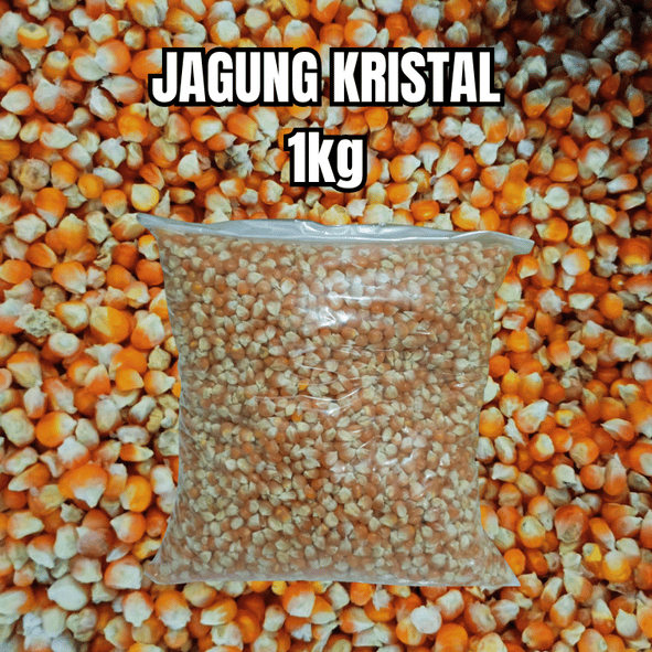 Jagung Pipil Kecil 1kg - Jagung Kering Bersih untuk Ayam dan Burung