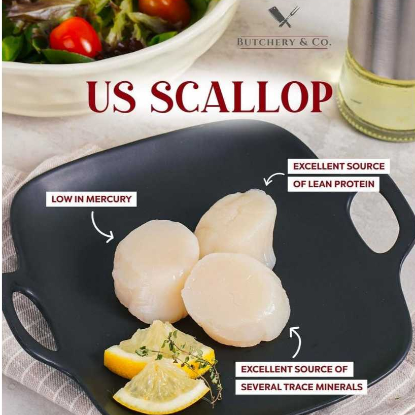 US Scallop