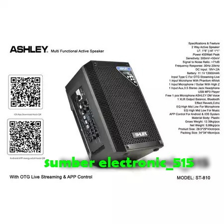 Speaker Aktif Portable ASHLEY ST 810 ST810 Original 8 Inch