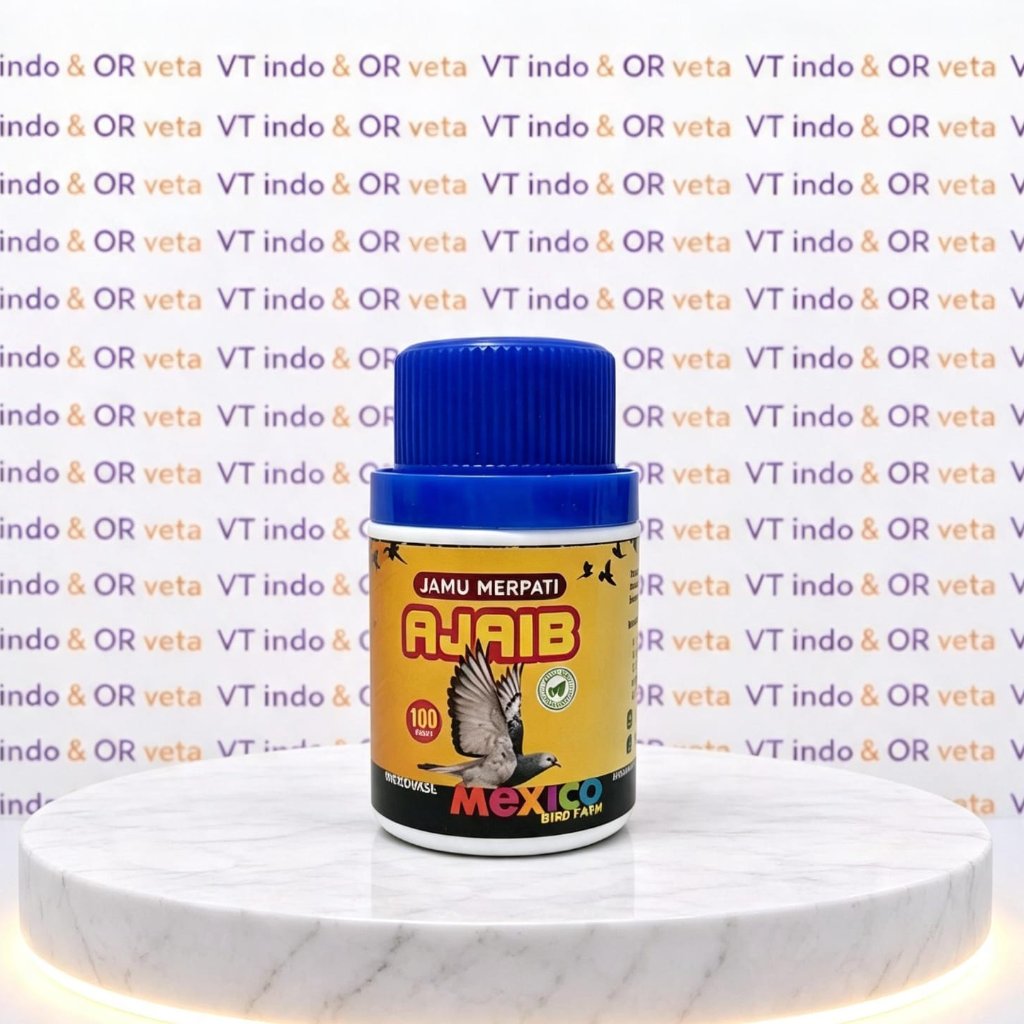 JAMU AJAIB MEXICO JAMU GIRING KEKET BURUNG MERPATI DARA TINGGI BALAP