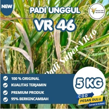 benih Padi VR 46 5kg