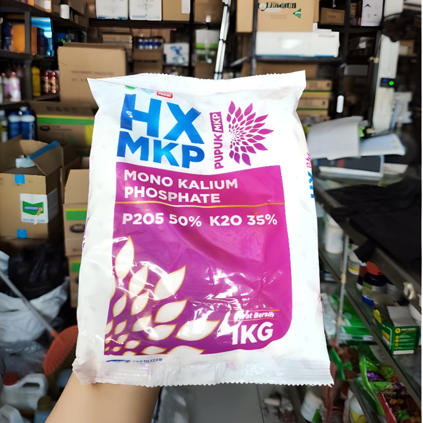 Pupuk MKP DGW - 1 KG Pabrik