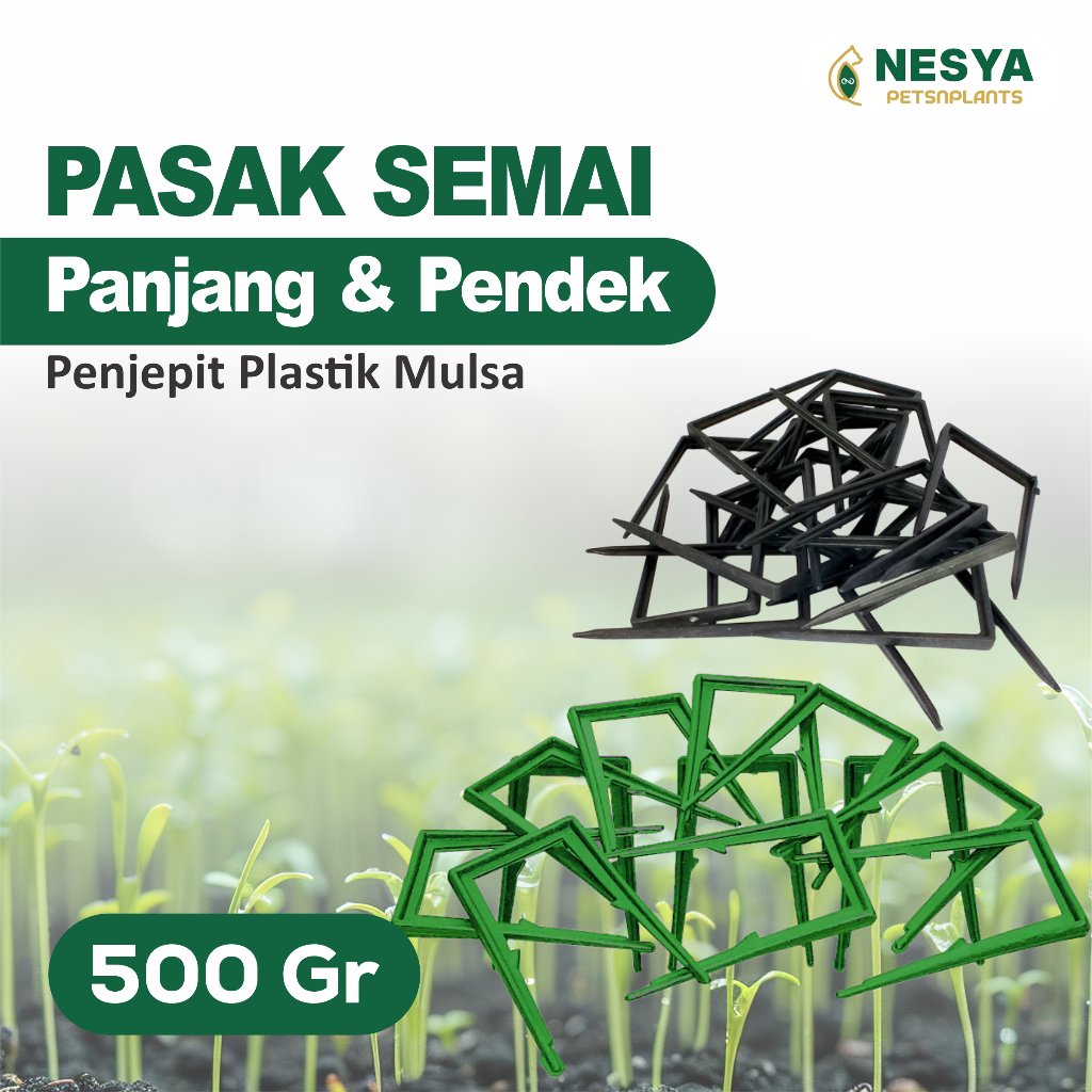 Pasak 500 Gr Panjang & Pendek Penjepit Plastik Mulsa - Pasak Panjang Mulsa Paku Mulsa