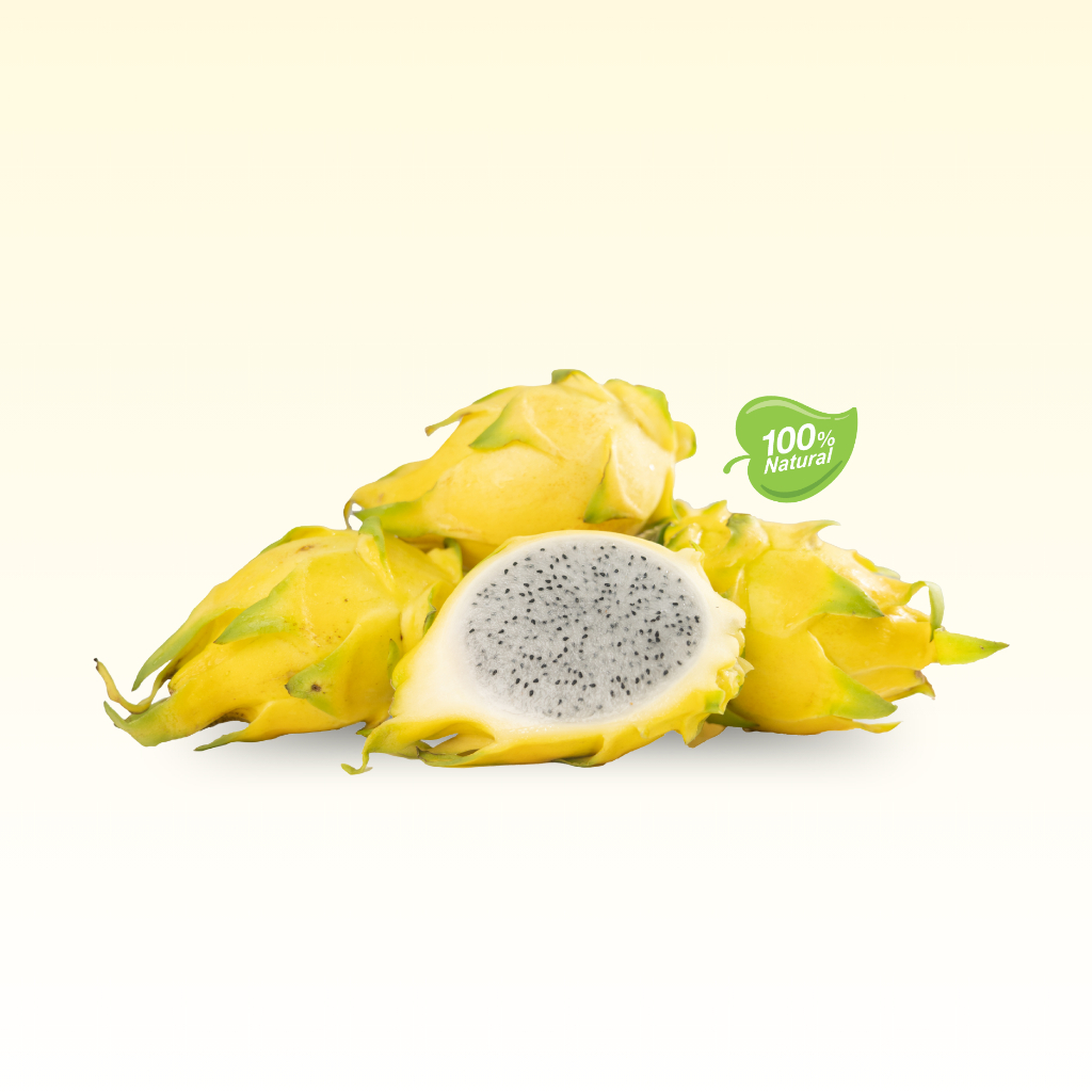 Buah Naga Kuning (Golden Isis) Organik - Sangkanika