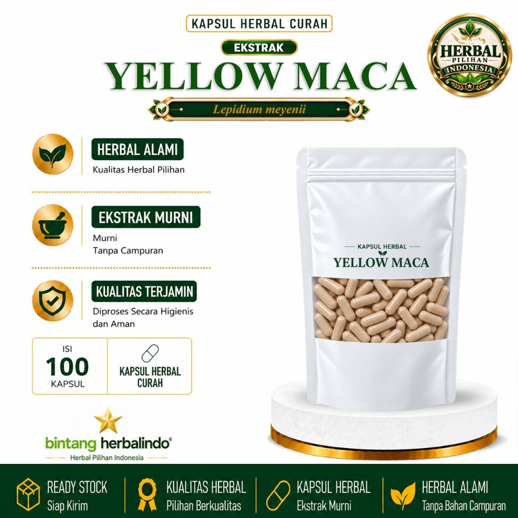 Kapsul Curah Yellow Maca Ekstrak Maca Root Akar Maca Herbal 200 Kapsul 600 mg Lepidium meyenii