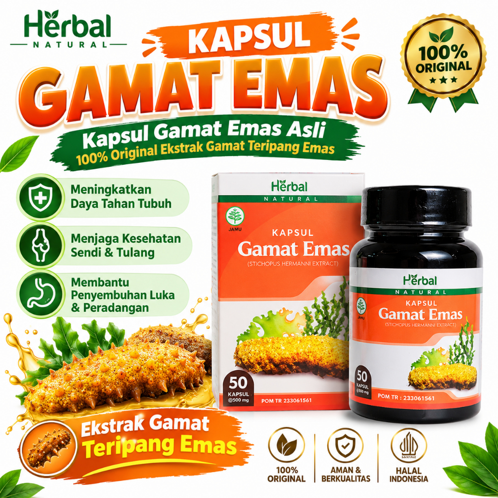 Kapsul Gamat Emas Asli 100% Original Ekstrak Gamat Teripang Emas