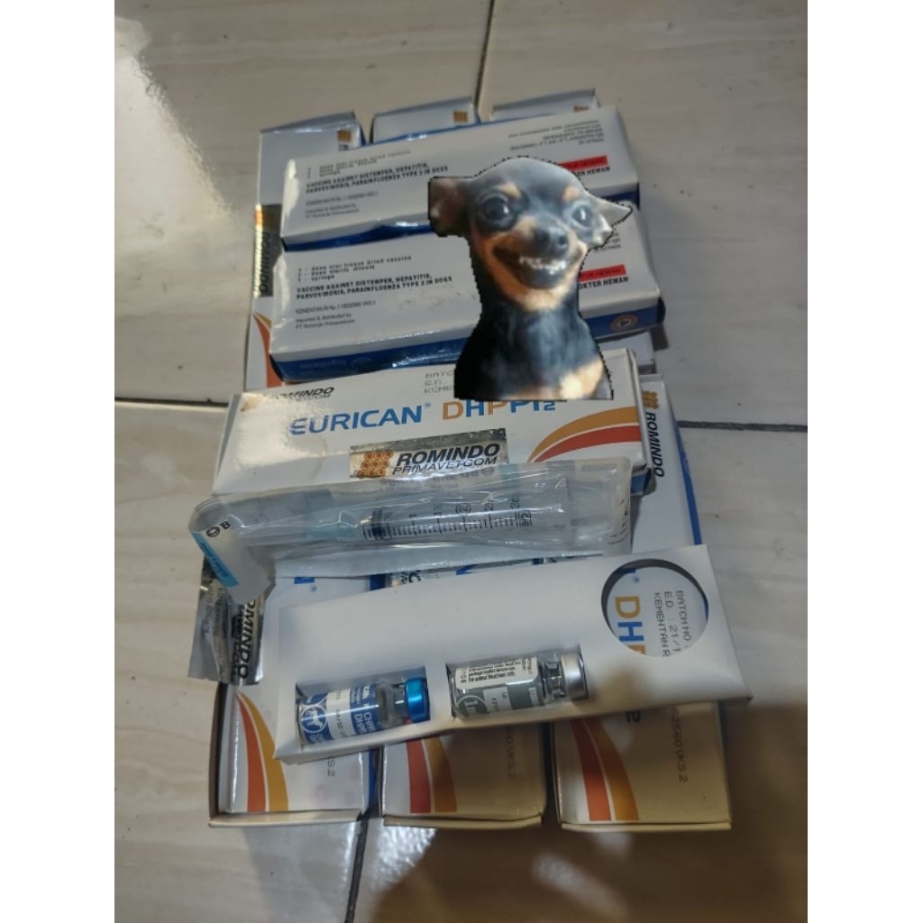 Vaksin Anjing Eurican DHPPi2 / Eurican 4 - Obat Vaksin Hewan Anjing