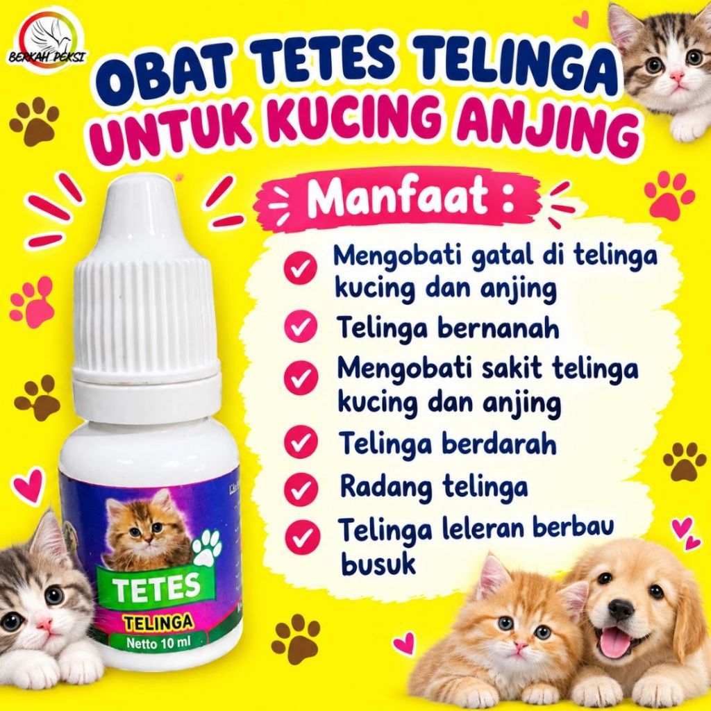TETES TELINGA HEWAN PELIHARAAN MENGOBATI TELINGA GATAL TELINGA PADA KUCING ANJING
