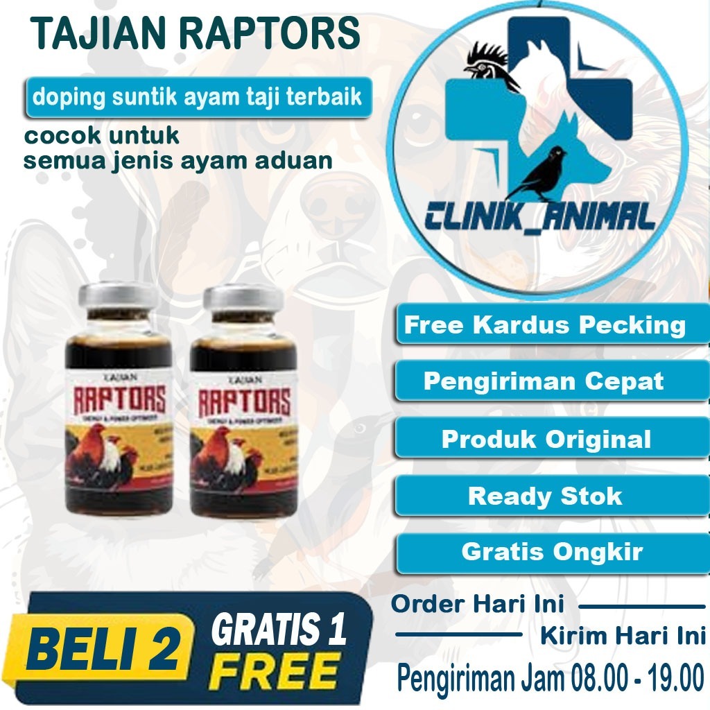 Raptors Doping Ayam Aduan Pisau Taji Laga Terbaik