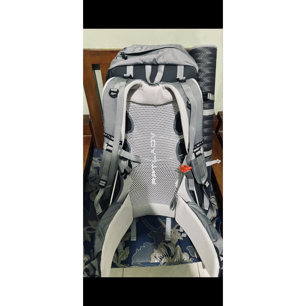 preloved carrier reptil cobra 60L