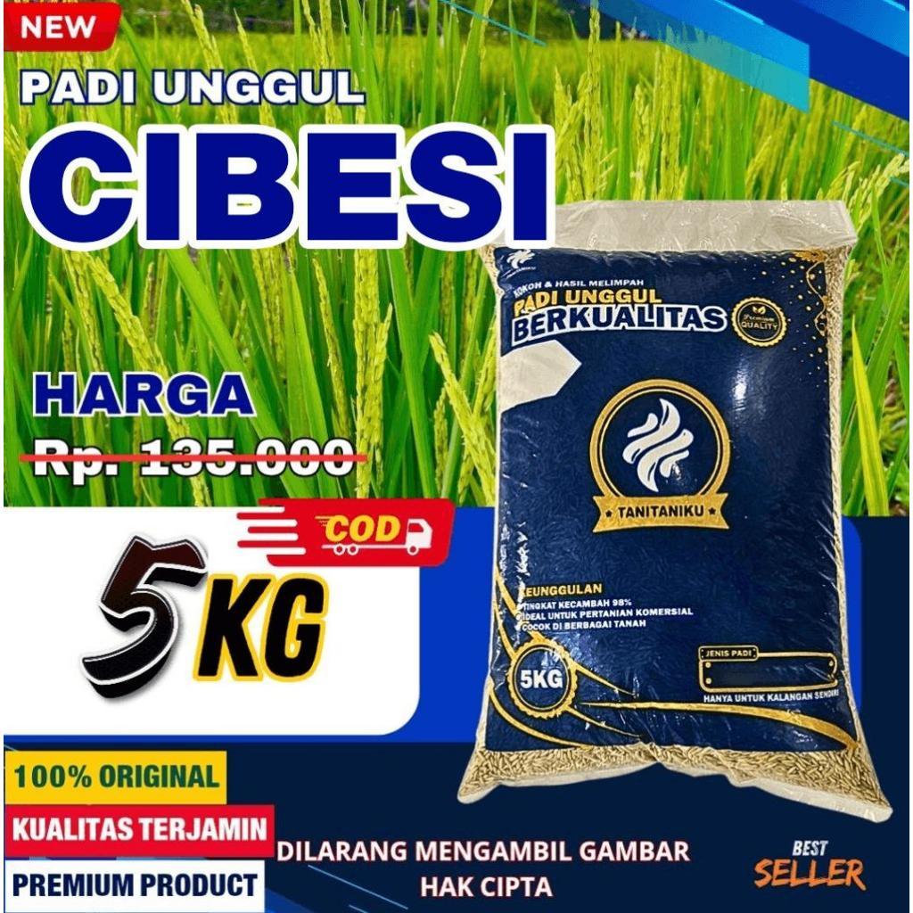 Benih padi bibit padi CIBESI 5 kg kualitas super premium original