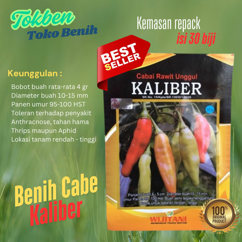 30 biji Benih Cabai Cabe Rawit Kaliber Kemasan Repack