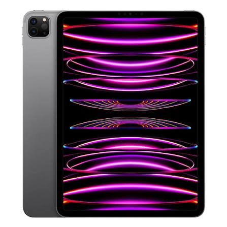 iPad Pro M2 11 Inch WiFi 256GB Space Gray Preloved