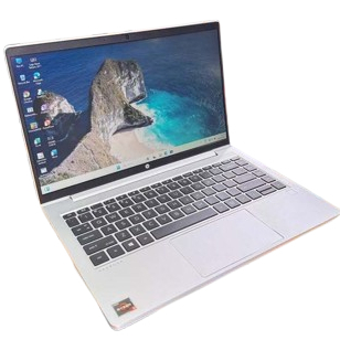 LAPTOP HP PROBOOK 445 G8 AMD Ryzen 5 5600U RAM 8GB SSD 256GB