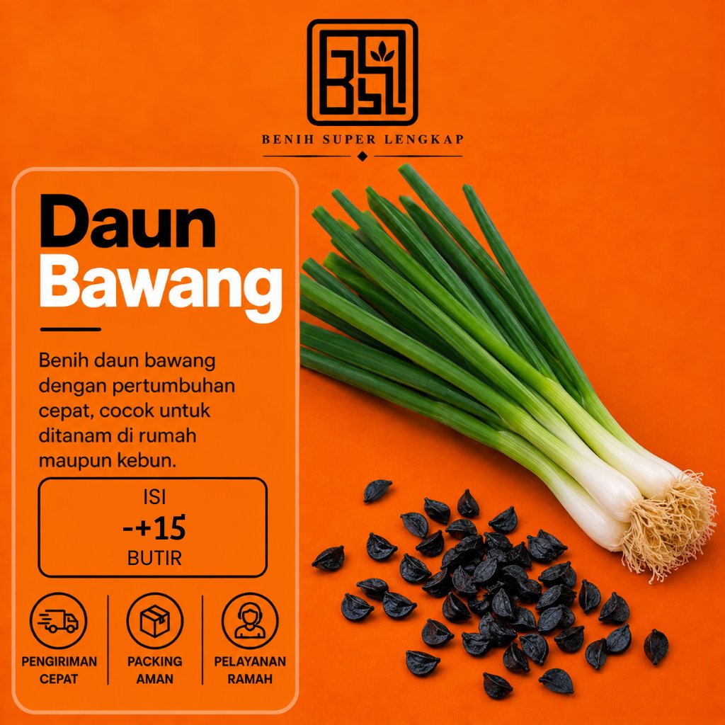 ( 15 Butir ) Benih Biji Daun Bawang Dataran Rendah | Bawang Daun | UKI BIBIT