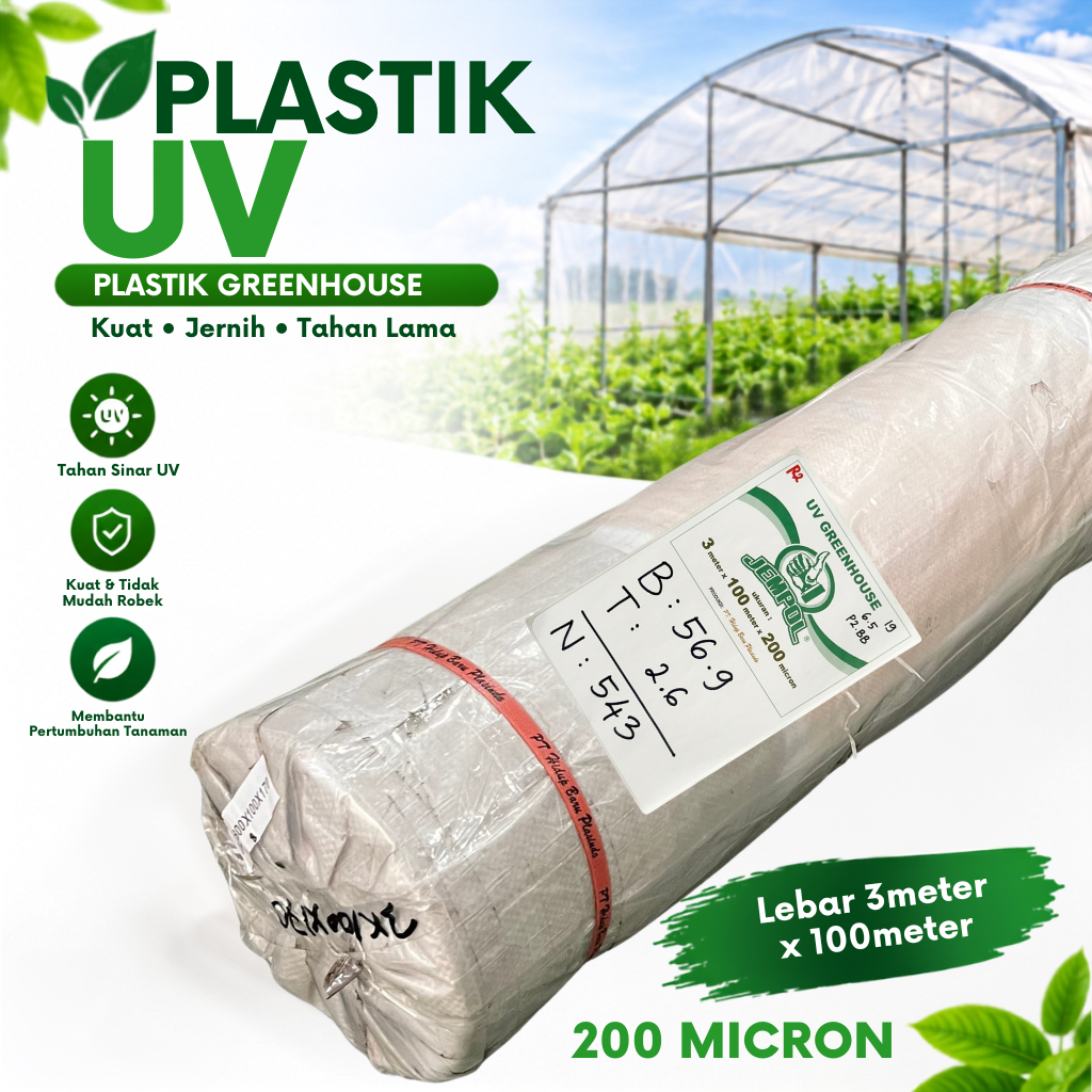 Plastik UV Lebar 3 Meter Panjang 100 Meter Tebal 200 Mikron 1 Roll