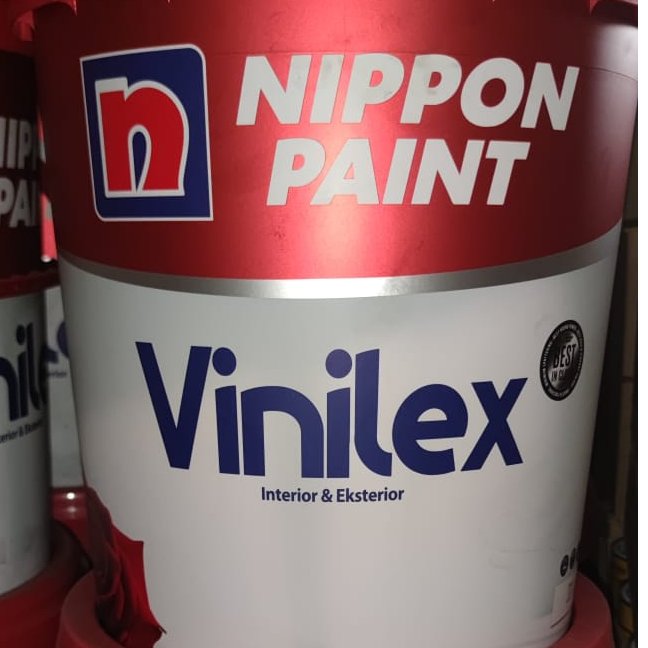 VINILEX 5000 25Kg