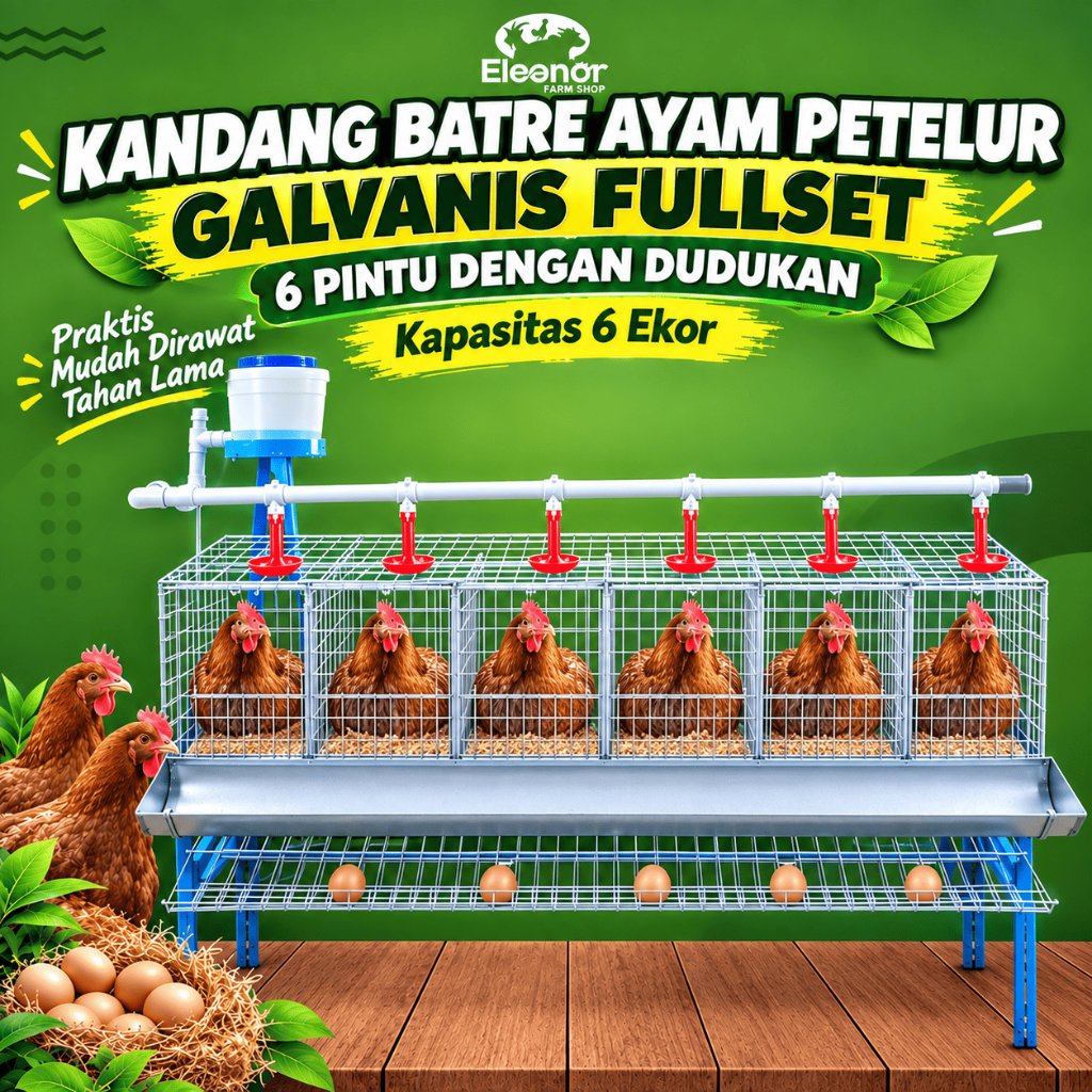 Kandang Ayam Petelur Bangkok 6 Pintu Lengkap Rangka Dudukan Semua Aman