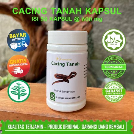Kapsul Cacing Tanah 50 Kapsul - Mengatasi penyakit tipes