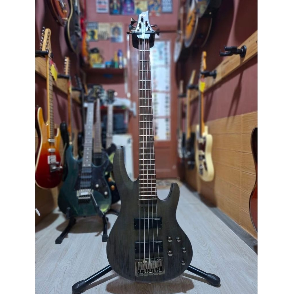 Bass Elektrik LTD 205 SM