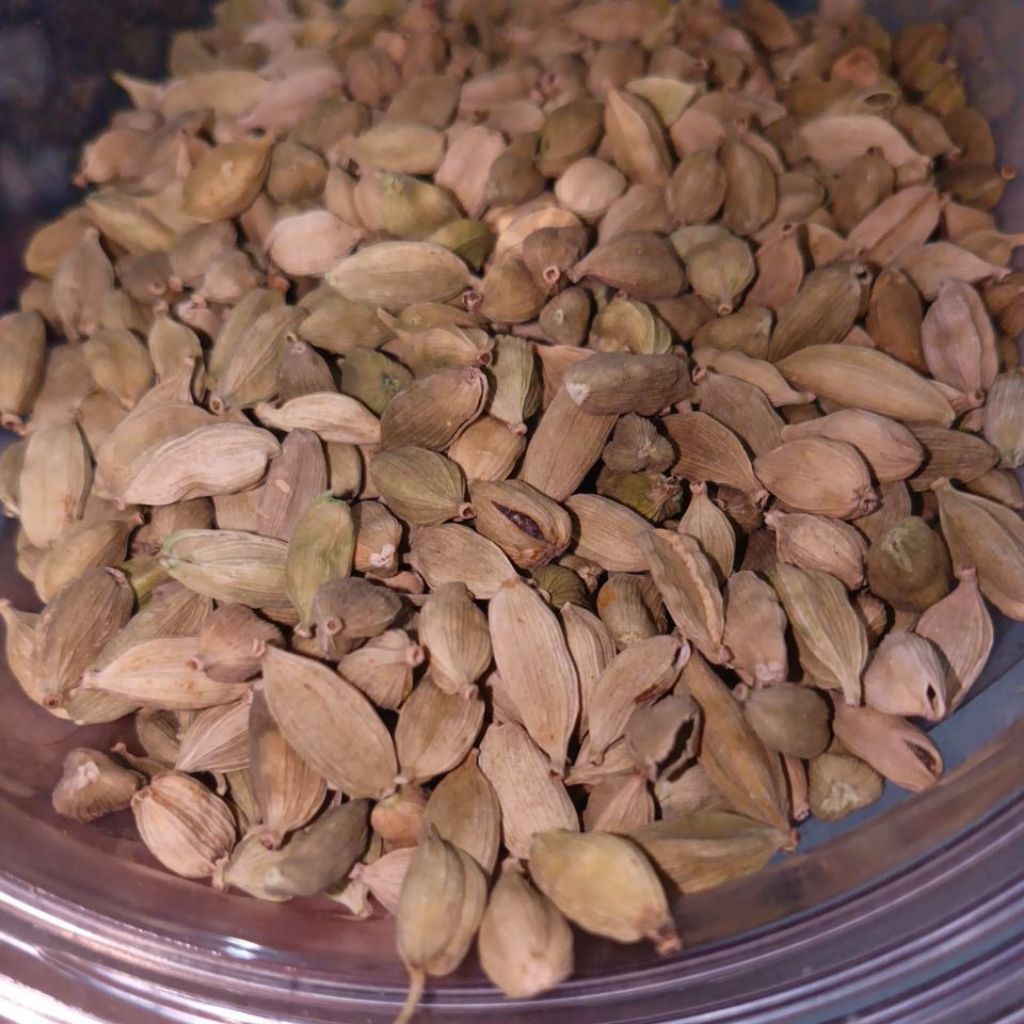 

•Kapulaga india•kapulaga hijau •Kapulaga