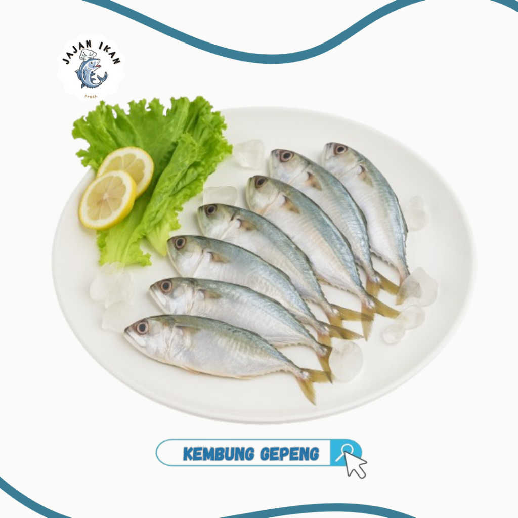 

Ikan Kembung Gepeng [JAJAN IKAN] Kembung Gepeng Beku1Kg