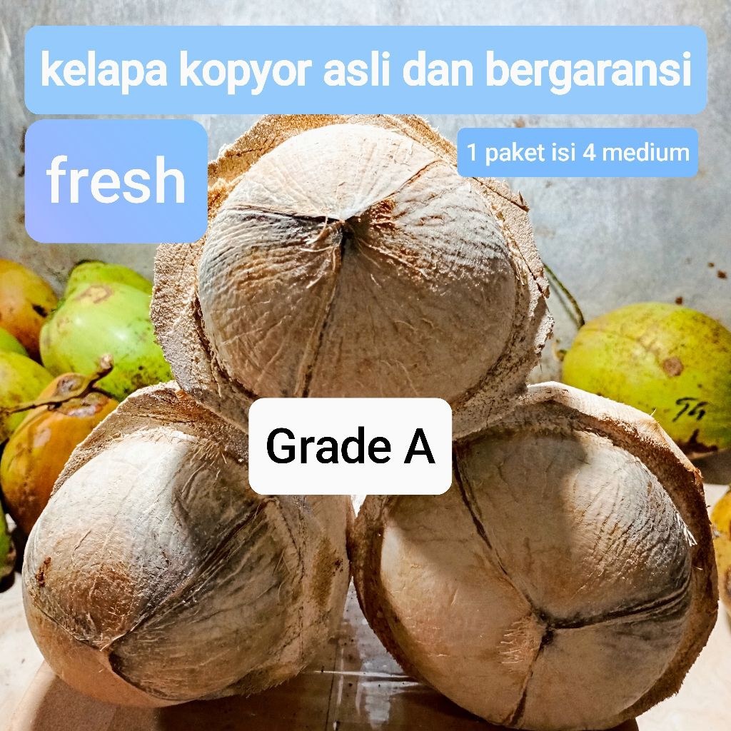 

kelapa kopyor asli 1 paket isi 4 pcs size medium