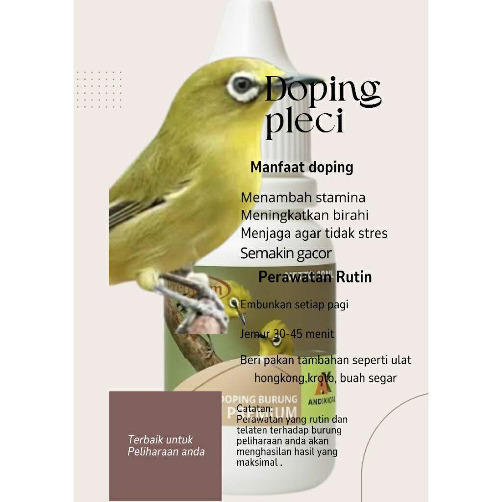 Pleci Gacor,Doping Terbaik