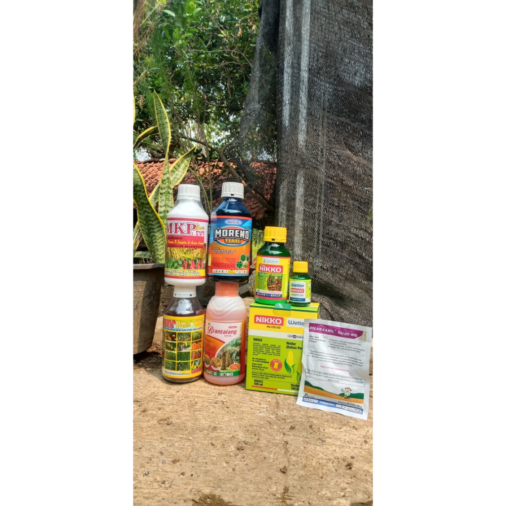 Pilarxanil 50/20 WG – Fungisida Sistemik jagung dan kentang