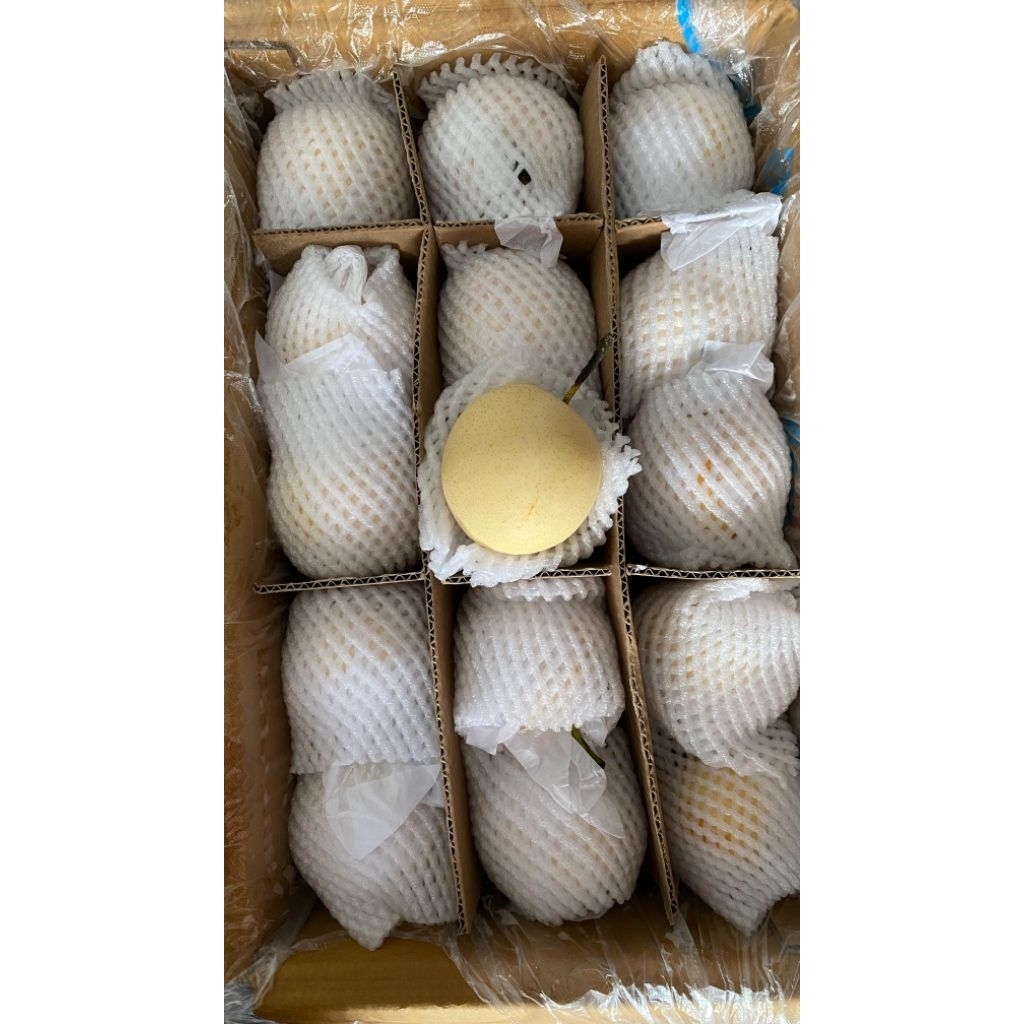 

Pear Century Import (1kg)