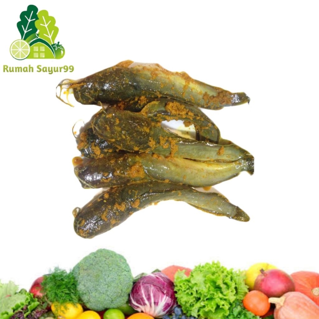 

Ikan lele bumbu kuning 1 kg