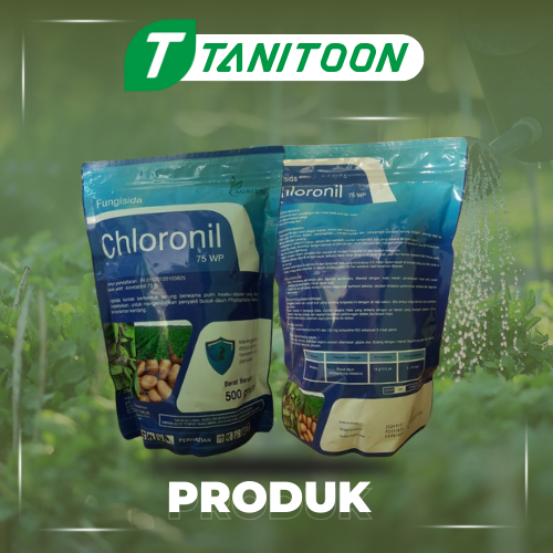 CHLORONIL 75WP 500GR FUNGISIDA : KLOROTALONIL 75%