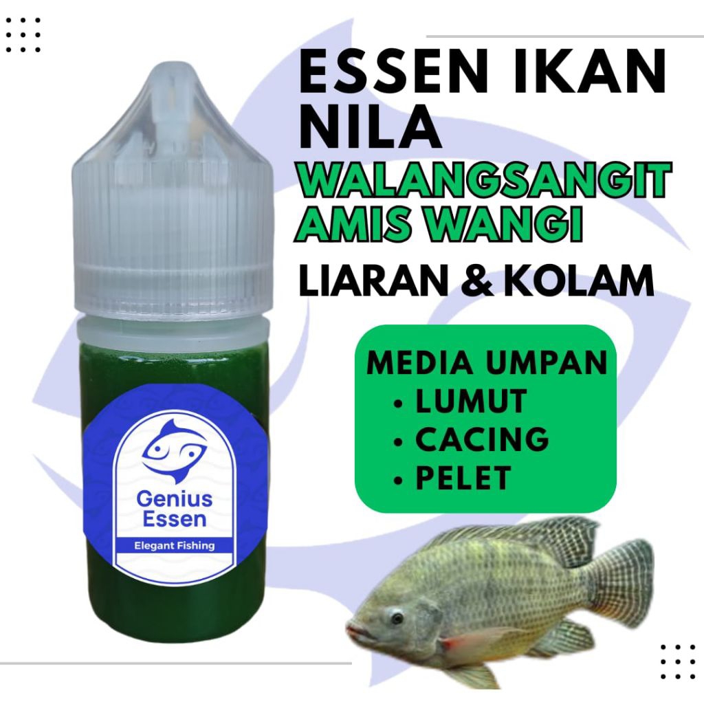 ESSEN IKAN NILA AROMA WALANGSANGIT AMIS WANGI essen ikan nila liaran essen ikan nila kolam essen ika