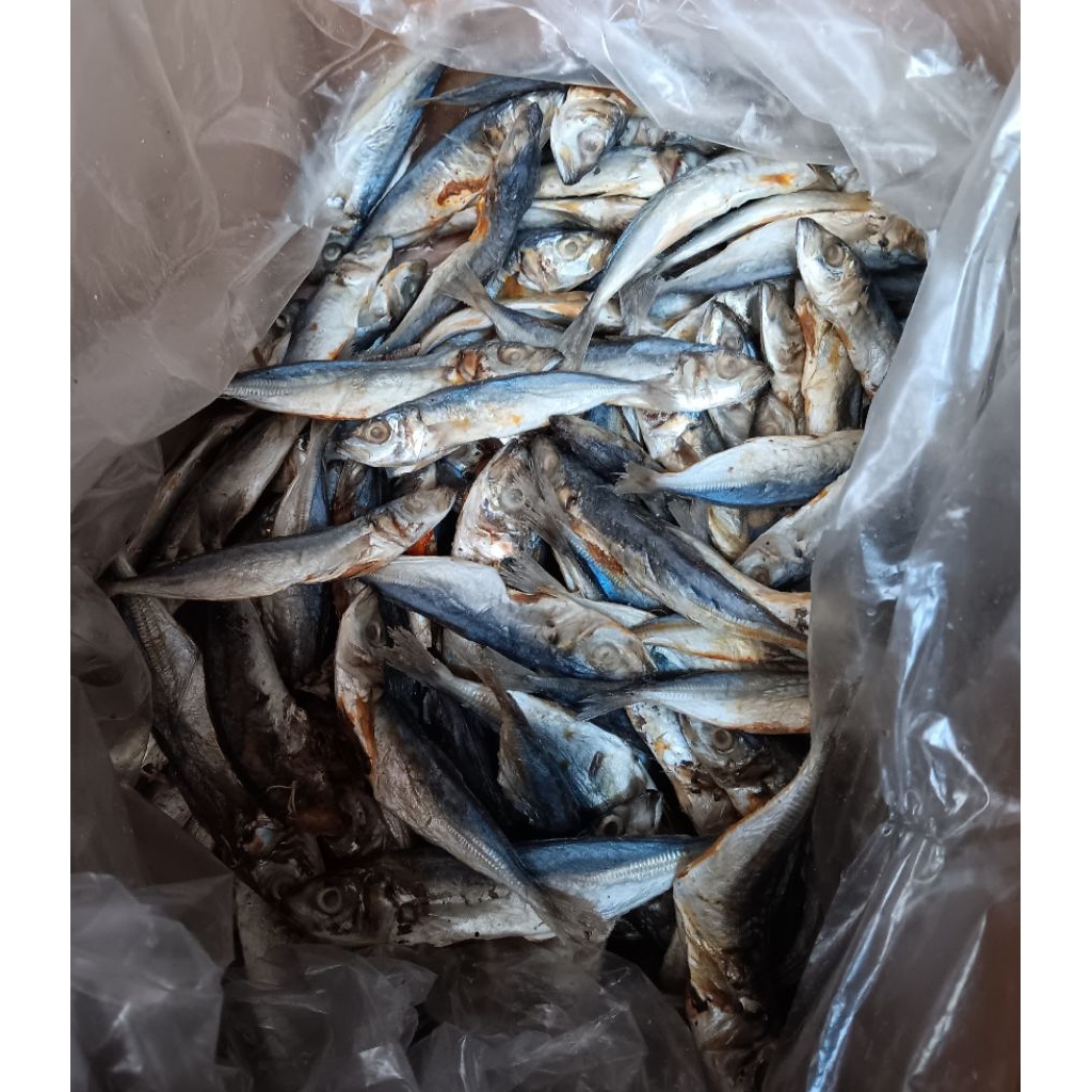 

Ikan Asin Klotok/layang benggol. Terjamin ikan asin freesh higienis berkualitas kemasan vakum 700grm